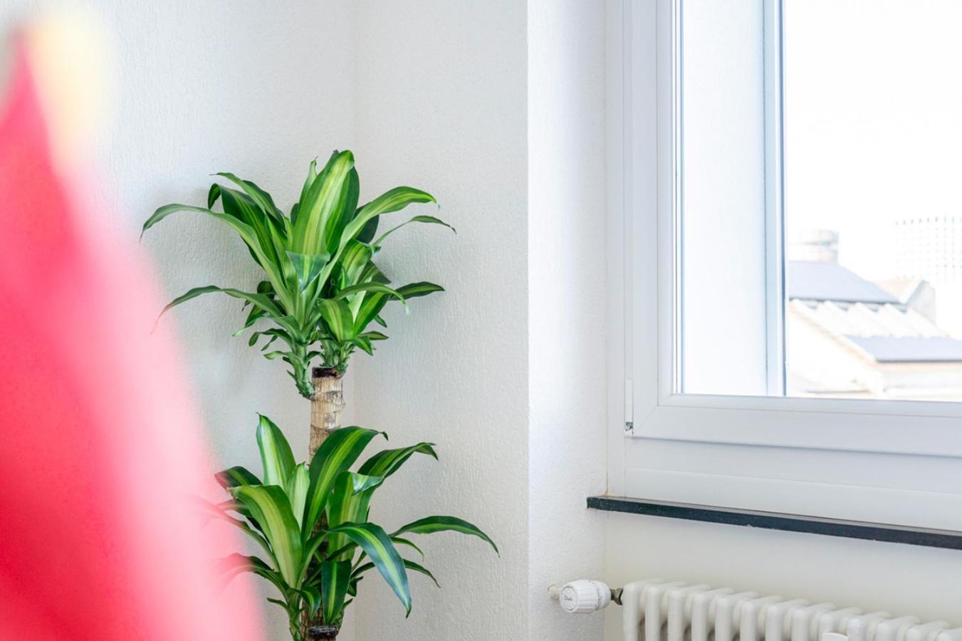 Special Picco Picasso Apartment Basel, Bahnhof Grossbasel 10-Star 外观 照片